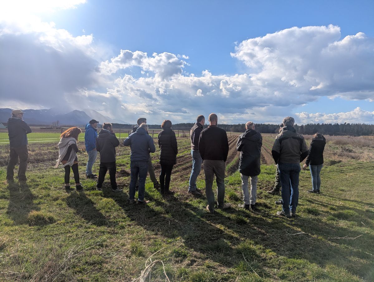 Nachbericht - Agroforstwirtschaft-Workshop
